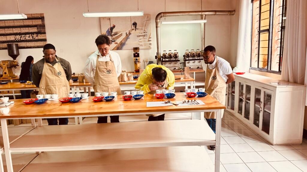 Coffee Testing Experience