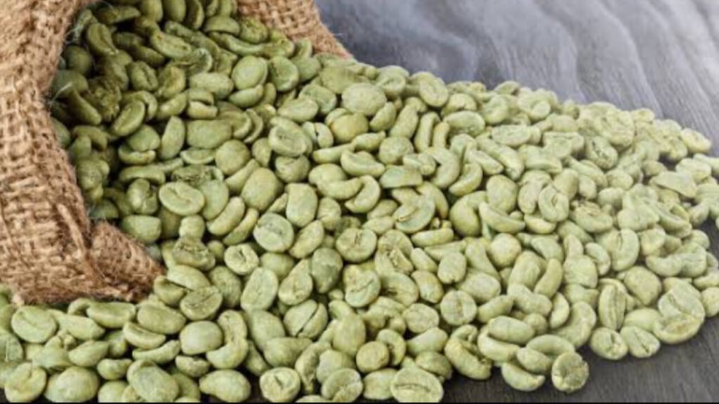 Dried Coffee Beans