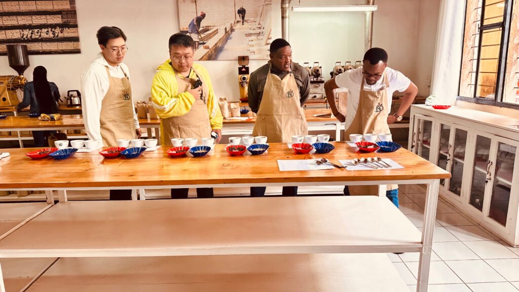 Rocky Specialty Coffee Testing Experience