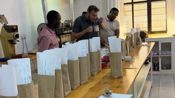 Coffee Testing Experience