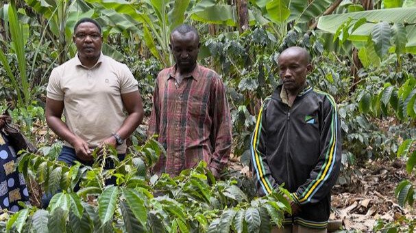 Community Coffee Farm